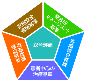 実地現地調査の評価基準