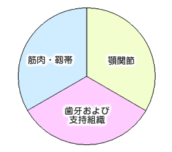 顎生理学が理想とする歯科診療